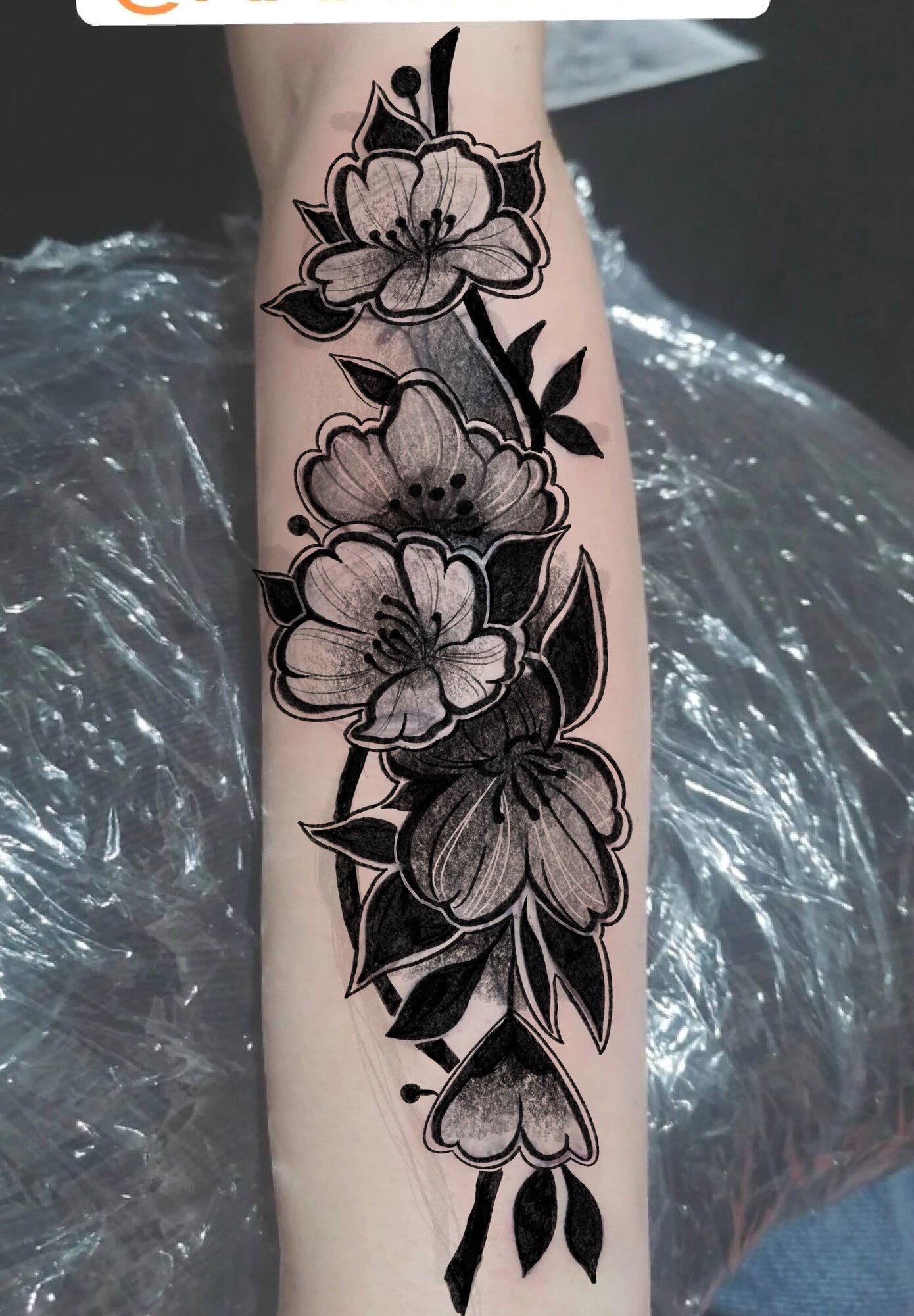Тату сакура, black & grey